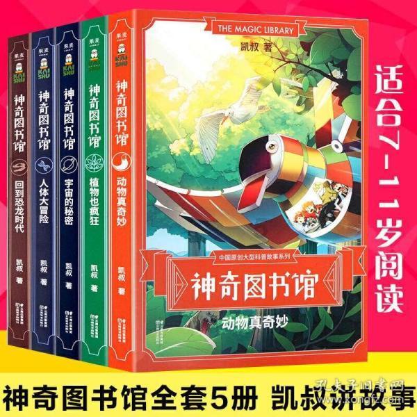 夏天的新娘