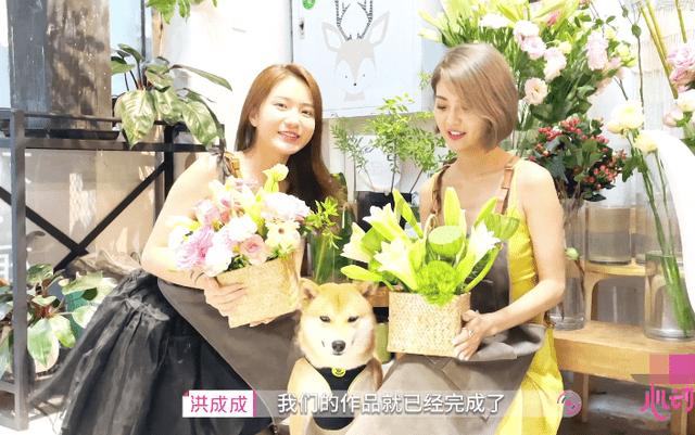 科沃斯窗宝W2 Pro擦窗效果到底如何?用过的朋友给出这样的评价