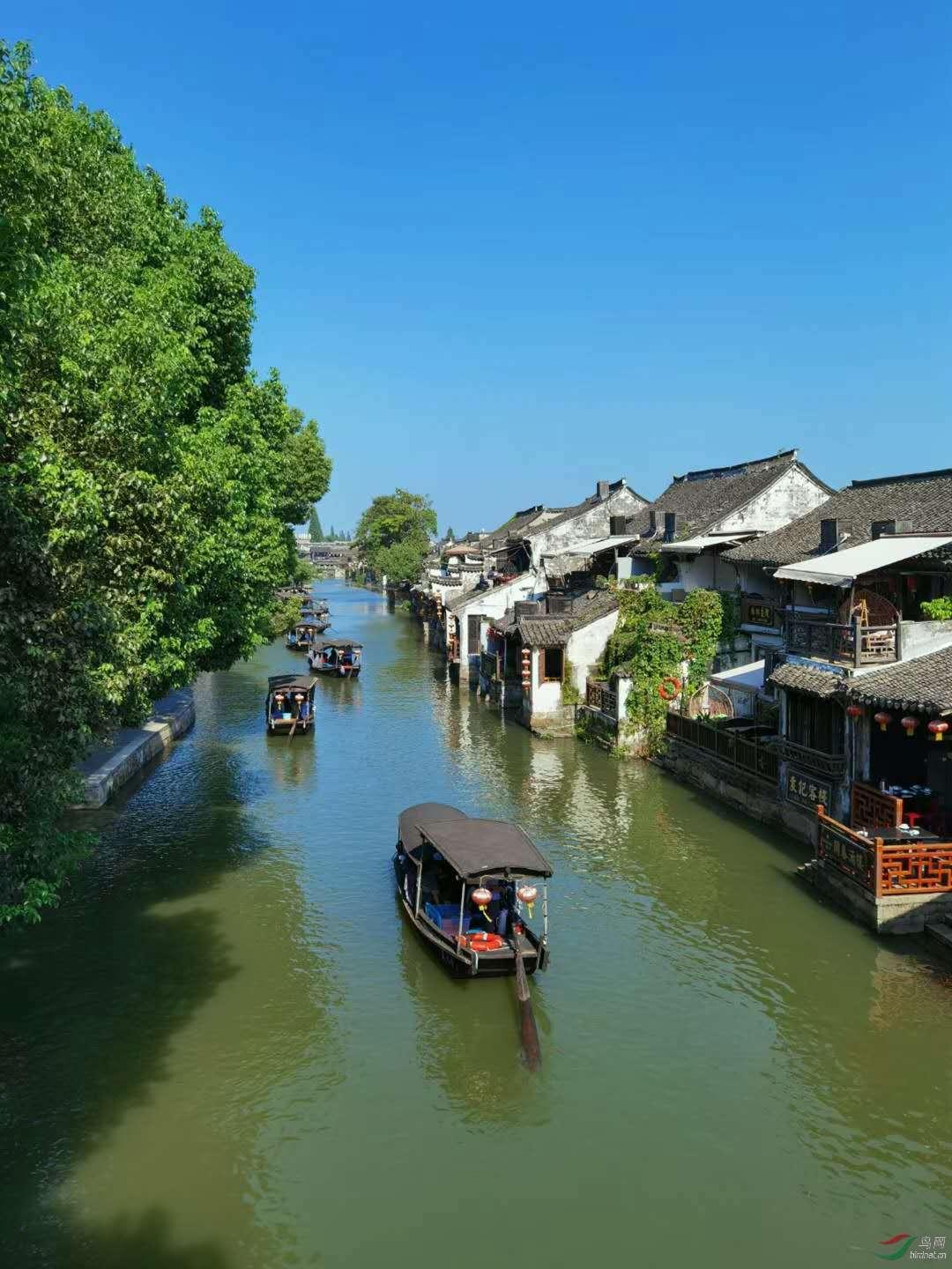 肾结石是怎么引起的?-优质的有问必答平台